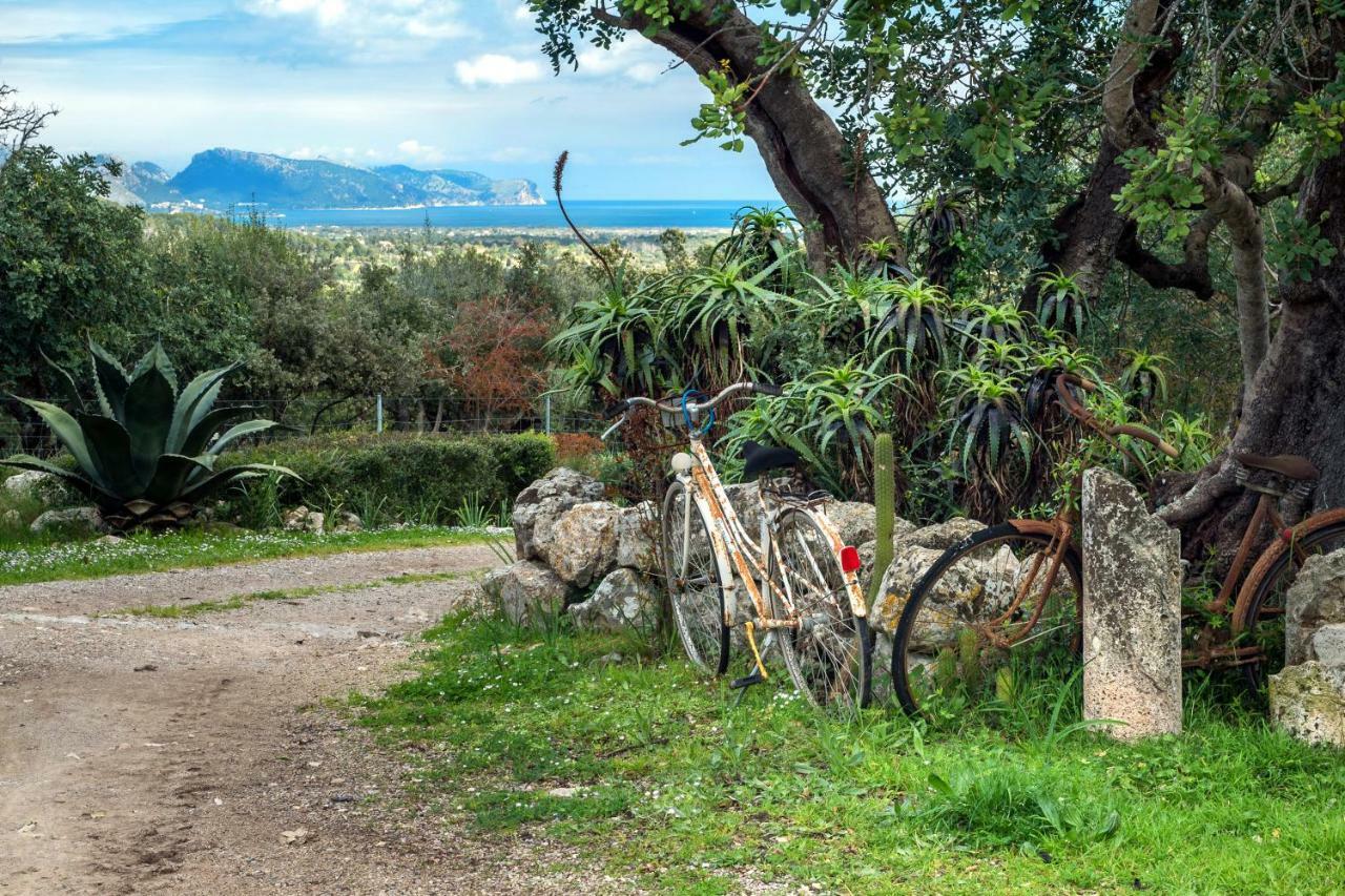 Agroturismo Can Guillo Villa Pollença Buitenkant foto