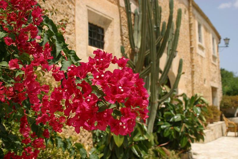 Agroturismo Can Guillo Villa Pollença Buitenkant foto