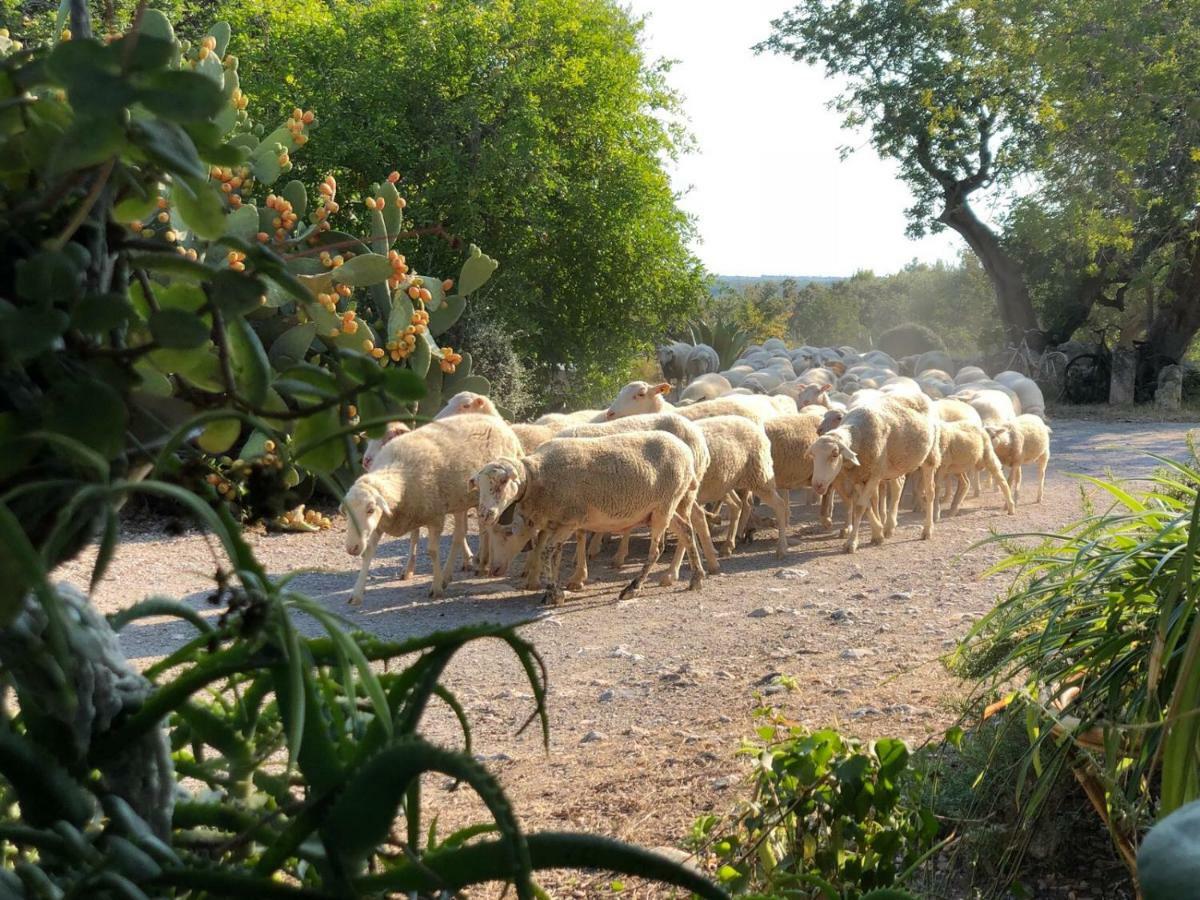 Agroturismo Can Guillo Villa Pollença Buitenkant foto