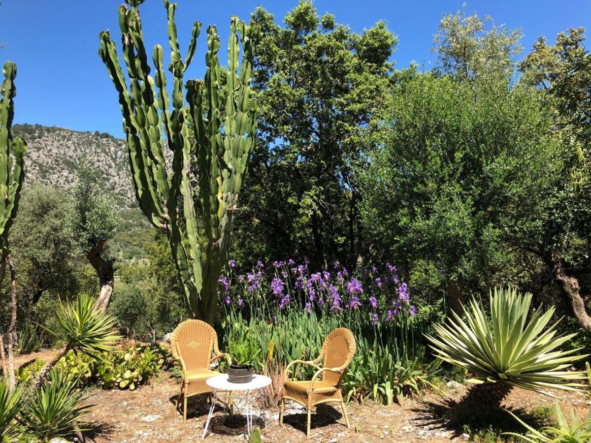 Agroturismo Can Guillo Villa Pollença Buitenkant foto